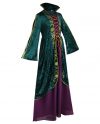 Adults Hocus Pocus Winifred Sanderson Costume