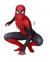 Spiderman Far From Home Red and Black Costume