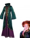 Adults Hocus Pocus Winifred Sanderson Costume