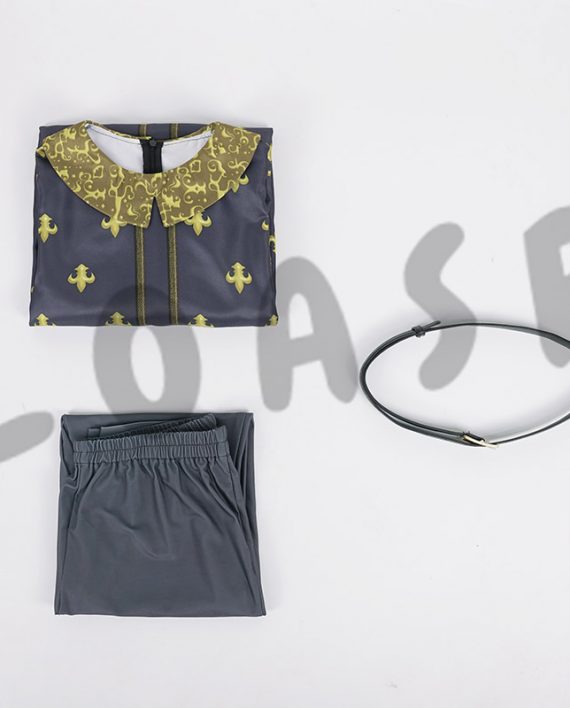 Adult Prince Charming Shrek Costume