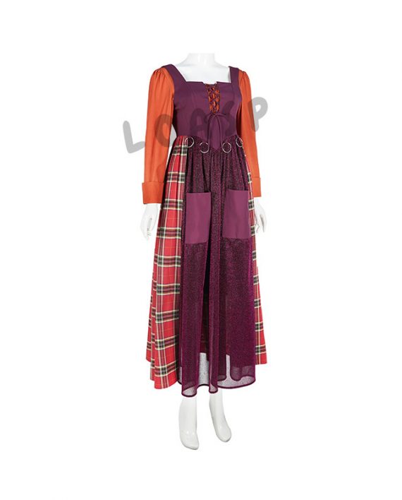 Mary Sanderson Costume