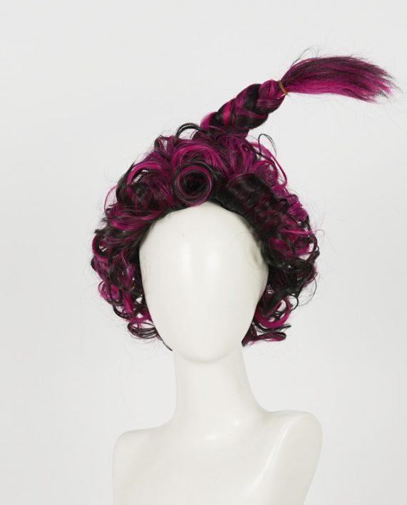 Mary Sanderson Hocus Pocus Wig