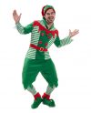 Adult Christmas Happy Elf Costume