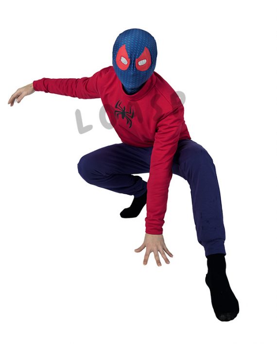 Spider Man Wrestler Suit