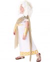 Kids Zeus Costume
