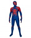 Spiderman Across The Spider Verse Spider Man 2099 Costume