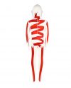 Gangle The Amazing Digital Circus Costume