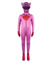Picky Piggy Costume