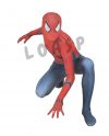 Spider Man Costume Suit
